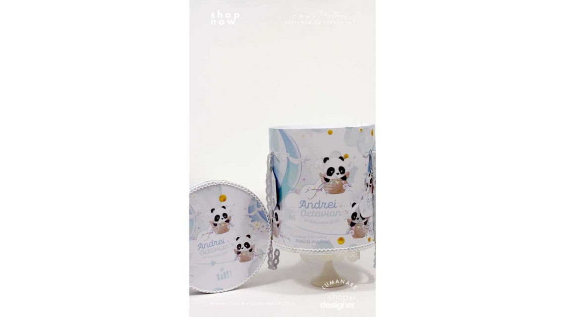 Trusou de botez cu ursuletul Panda ursul polar si baloane de aer cald Panda 3